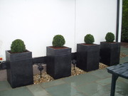 Camellia Landscaping Service, Patio Construction, Garden Design,  Lawn Services, CORK