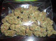 Quality 420 and 215 kush dank bud og kush to be delivered to your door