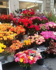 Flower Delivery Dublin - Send flowers same day by florists